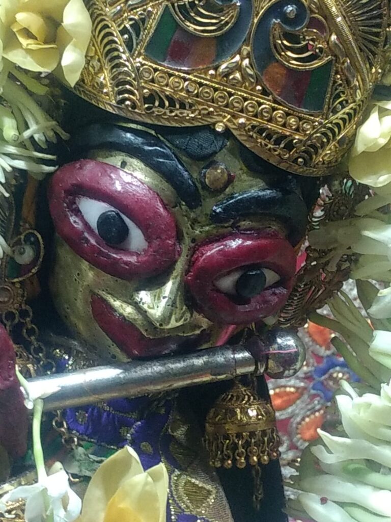 এক বিতর্কিত-বিগ্রহ কাহিনী : রাধাবিনোদিনী বিন্তি বণিক।