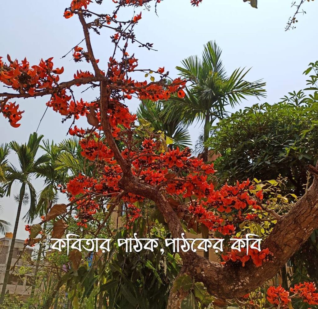 কবিতার সর্বস্ব ও কবির সর্বনাশ ::: শুভঙ্কর দাস।।।