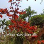 কবিতার সর্বস্ব ও কবির সর্বনাশ ::: শুভঙ্কর দাস।।।