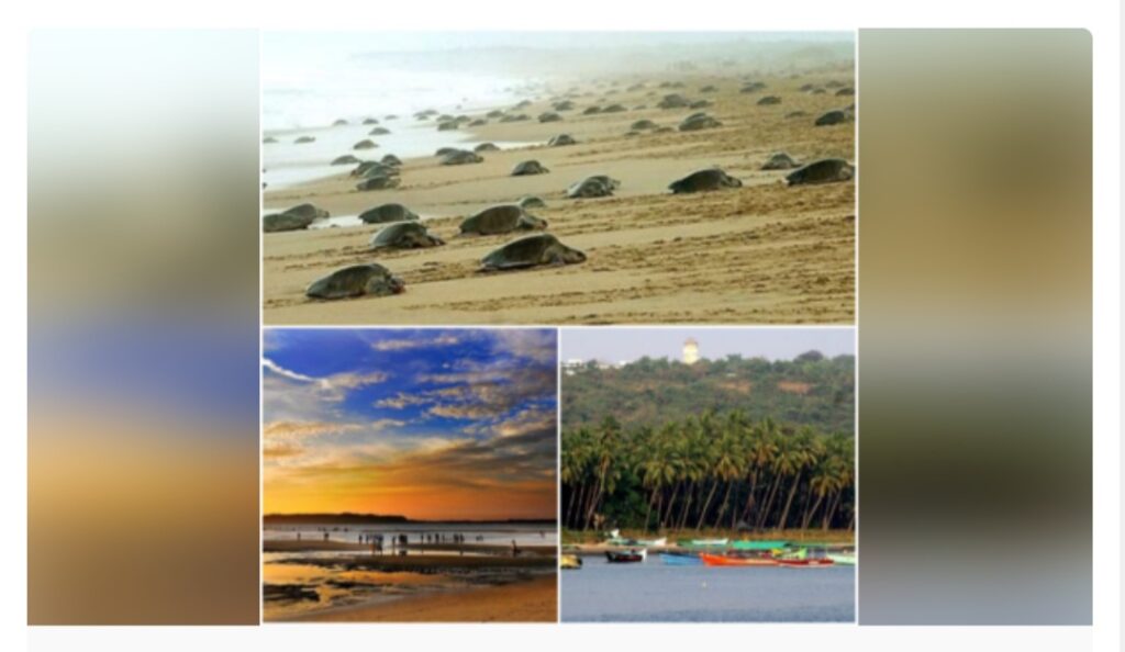 গোয়ার ৪ টি দর্শনীয় সমুদ্র সৈকত।