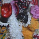 জানুন, বাঘের সেবা কেমন করে করলেন কৃষ্ণদাস ! : রাধাবিনোদিনী বিন্তি বণিক।