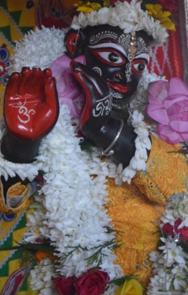 জানুন, বাঘের সেবা কেমন করে করলেন কৃষ্ণদাস ! : রাধাবিনোদিনী বিন্তি বণিক।