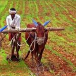 জাতীয় কিষাণ দিবস এবং তার গুরুত্ব।