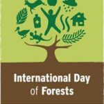 আজ বিশ্ব বন দিবস, জানুন আমাদের গ্রহকে টিকিয়ে রাখতে বনের ভূমিকা।