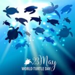 আজ বিশ্ব কচ্ছপ দিবস, জানুন দিনটি কেন পালিত হয় ও গুরুত্ব।।।