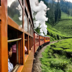 দার্জিলিং ভ্রমণ : একটি বিশেষ পর্যালোচনা।