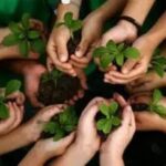 বৃক্ষ রোপণ জলবায়ু পরিবর্তনের বিরুদ্ধে লড়াই।।।।