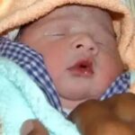 দ্য বার্থ অফ আ মিরাকল: লুইস ব্রাউন অ্যান্ড দ্য ফার্স্ট টেস্ট-টিউব বেবি।।।।