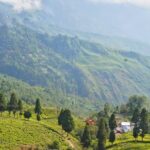 ভ্রমণ : পাহাড়ি স্বর্গ ‘দার্জিলিং’।