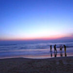 গোয়ার মরজিম বিচ – প্রকৃতি, পাখি ও সমুদ্রের শান্তির রাজ্য।।