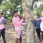 প্রকৃতির কোল ঘেঁষে পাখির রাজত্ব— গাজোলের আদিনা বনাঞ্চলে উৎসব পরিযায়ী অতিথিদের।