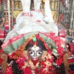 বোল্লা কালীপুজোয় আর গনবলি নয়, চিকিৎসা ও অনুমতি সাপেক্ষে একে একে বলি হবে পশু।