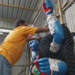 “পরিবর্তন সময়ের দাবি” — ফাটা কেষ্টর কালীপুজোয় মাধব পালের অনুপস্থিতিতে মিন্টু পালের হাত ধরে নতুন অধ্যায়।