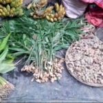 বালুরঘাট পৌরসভা ও প্রশাসনের উদ্যোগে ঘাট পরিষ্কার ও নিরাপত্তা জোরদার।