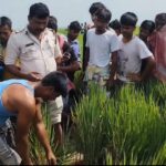 নলহাটিতে ধানের মাঠে মৃতদেহ উদ্ধার, এলাকায় চাঞ্চল্য।।