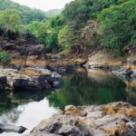 🌿 গোয়ার কোটিগাও ওয়াইল্ডলাইফ স্যাংচুয়ারি – প্রকৃতির এক অমূল্য রত্ন।।