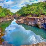 গোয়ার মোলেম ন্যাশনাল পার্ক – প্রকৃতি ও বন্যপ্রাণীর স্বর্গ।।