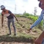 “বাঘ এল গড়বেতায়?” — মাঠে পায়ের ছাপ ঘিরে তীব্র চাঞ্চল্য ও আতঙ্ক।