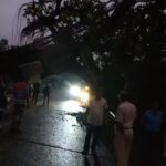 ৩০০ বছরের সাক্ষী বটগাছের বিদায়, গ্রামবাসীদের চোখে জল ও স্মৃতির ভার।