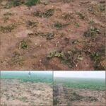 সাকরুল এলাকায় হাতির তাণ্ডবে ক্ষতিগ্রস্ত কৃষকরা, ক্ষতিপূরণের দাবি।।