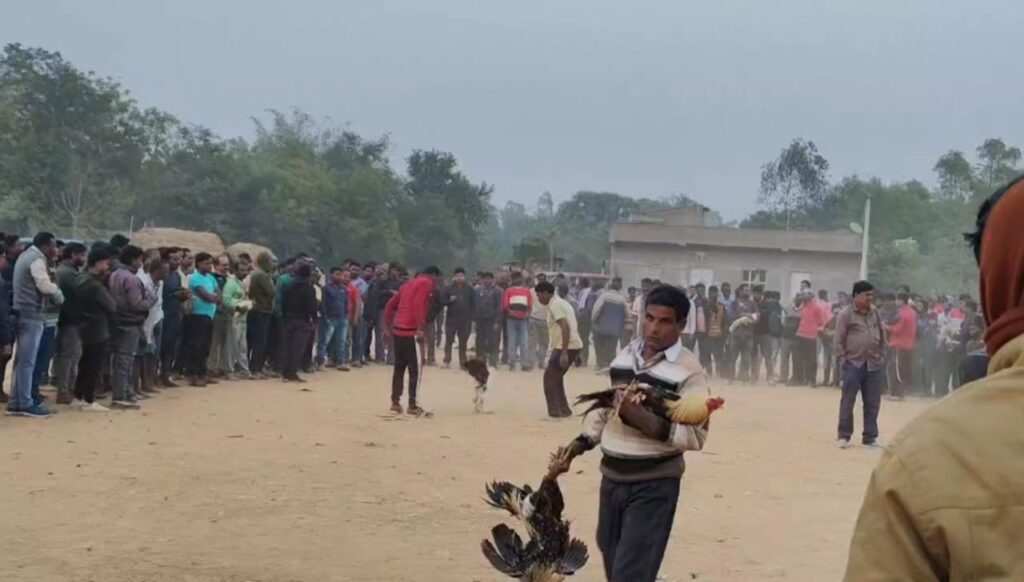 ডুমুরগেরিয়ায় ধর্মীয় উৎসবের রঙ, ভৈরব দেবীর পুজোয় মেলা ও লোকসংস্কৃতির মিলন।।