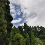 কার্শিয়াং এক অনুভূতির নাম।