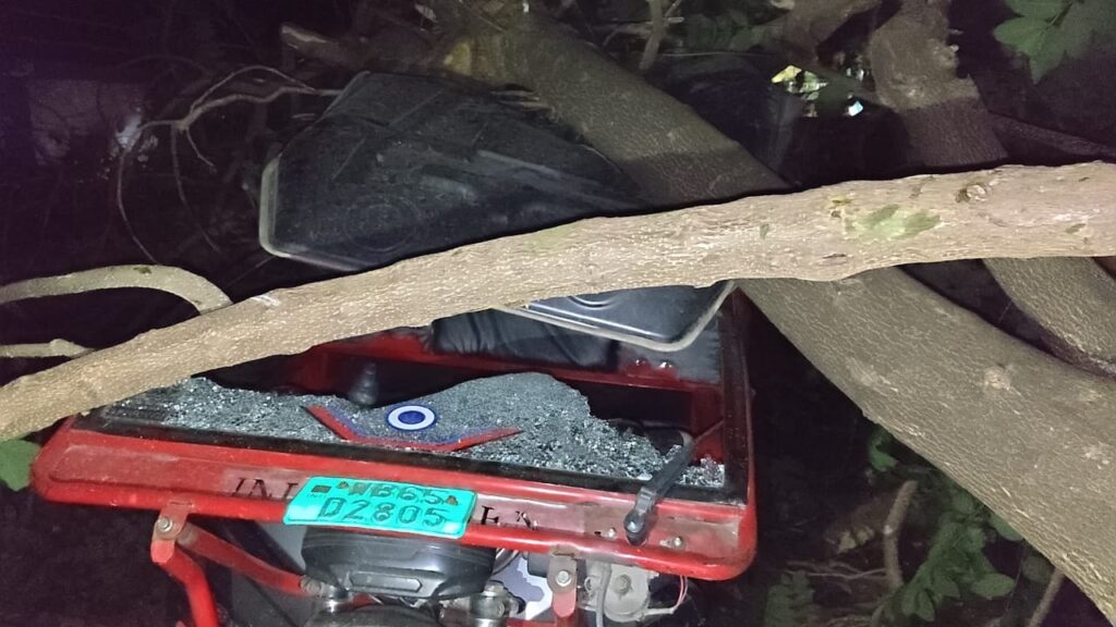 মালদা শহরে ঝড়ে গাছ ভেঙে টোটোর উপর, আহত দুই।