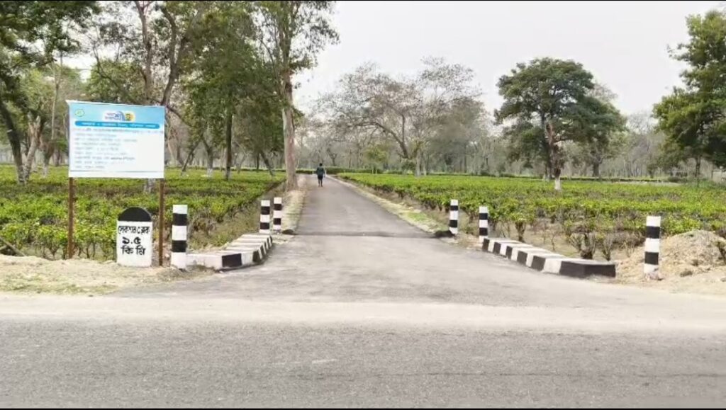 নতুন পিচের রাস্তা তৈরি, স্বস্তি তাসাটি চা বাগানের বাসিন্দাদের।