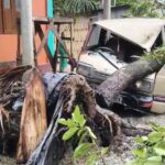 জটেশ্বরে ঝড়-বৃষ্টির দাপট, দুর্ভোগে স্থানীয় বাসিন্দারা।