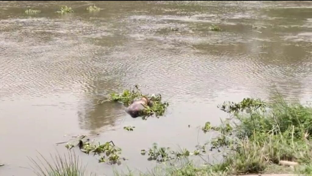 টাঙ্গন নদী থেকে উদ্ধার অজ্ঞাত ব্যক্তির দেহ, রহস্য ঘনীভূত।