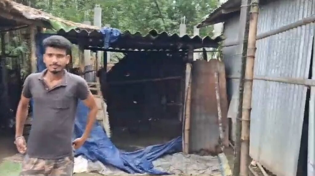 হাতির হানায় চাঞ্চল্য আলিপুরদুয়ারে, অল্পের জন্য রক্ষা পরিবারের সদস্যরা।