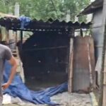 হাতির হানায় চাঞ্চল্য আলিপুরদুয়ারে, অল্পের জন্য রক্ষা পরিবারের সদস্যরা।
