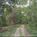 বর্ষাকালীন নিয়মে তিন মাসের জন্য বন্ধ জাতীয় উদ্যান, জলদাপাড়ায় প্রবেশ নিষিদ্ধ।