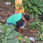 ফালাকাটায় নানা কর্মসূচিতে পালিত হল পশ্চিমবঙ্গ দিবস।