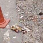 রাস্তার ধারে পড়েছিল সদ্যোজাতের ভ্রূণ, রহস্য উদঘাটনে তদন্ত শুরু।