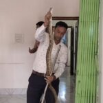 ইঁদুরের খোঁজে বাড়িতে ঢুকেছিল চন্দ্রবোড়া! অল্পের জন্য বড় বিপদ এড়াল পরিবার।