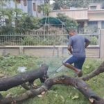 দীর্ঘদিনের অপেক্ষার অবসান, কল্যাণীর ঐতিহ্যবাহী মন্দির সংস্কারে শুরু প্রাথমিক কাজ।