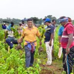 পৃথিবীর ভারসাম্য রক্ষায় কুইকোটার জাহের স্থানে বৃক্ষরোপণ,উদ্যোগ ভারত জাকাত মাঝি পরগনা মহলের।
