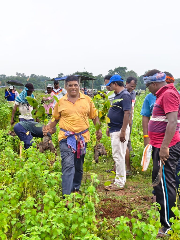 পৃথিবীর ভারসাম্য রক্ষায় কুইকোটার জাহের স্থানে বৃক্ষরোপণ,উদ্যোগ ভারত জাকাত মাঝি পরগনা মহলের।