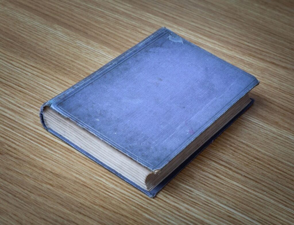 নীল ডায়েরির রহস্য।