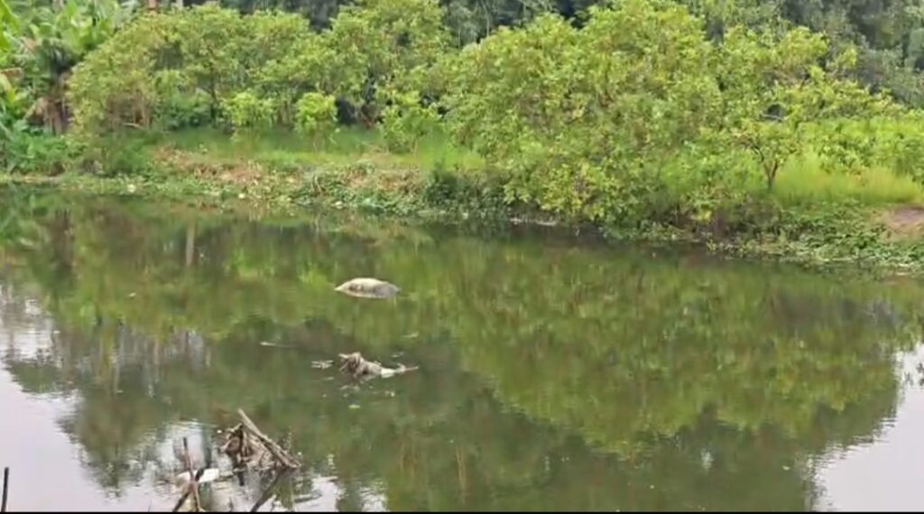 বারুইপুরে আদি গঙ্গা থেকে দেহ উদ্ধার, মৃত্যুর কারণ খতিয়ে দেখছে পুলিশ।