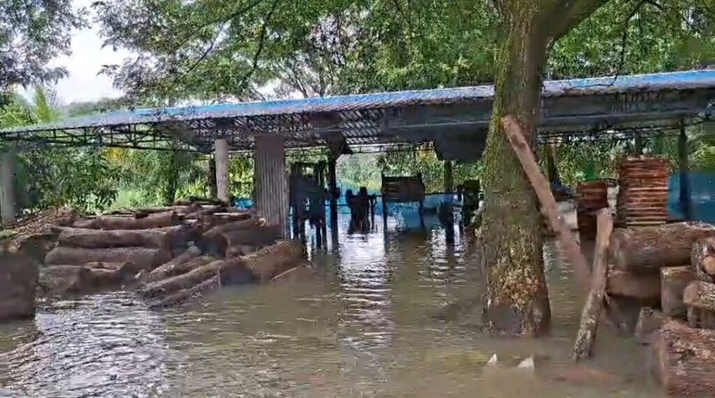 দলছুট হাতির দাপটে ভাঙল স্কুলের দরজা-জানালা, ক্ষতিগ্রস্ত চাষিদের ধানজমিও।
