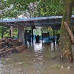 দলছুট হাতির দাপটে ভাঙল স্কুলের দরজা-জানালা, ক্ষতিগ্রস্ত চাষিদের ধানজমিও।