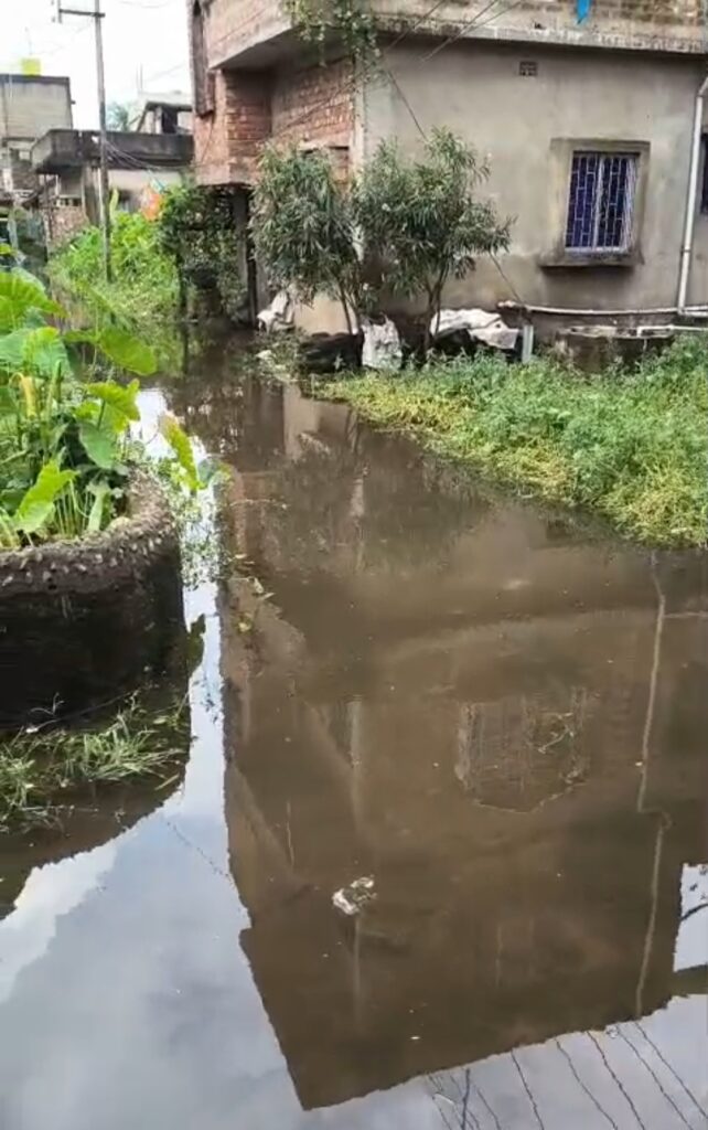 বর্ষা এলেই জলবন্দি সাপুঁইপাড়া, বছরের পর বছর সমস্যা না মেটায় ক্ষোভে ফুঁসছেন বাসিন্দারা।