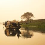 পুকুরের জলে দেখা আকাশ।