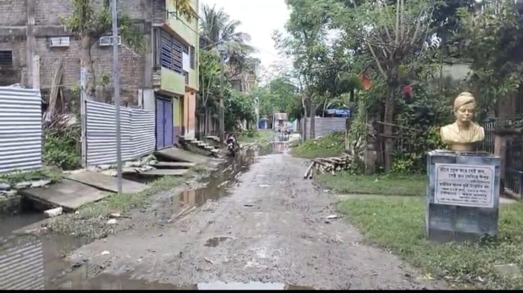 ছাতিয়ানগাছি থেকে ঘোষপাড়া-চাঁদপাড়া, কুকুরের হামলায় আতঙ্কিত এলাকাবাসী।