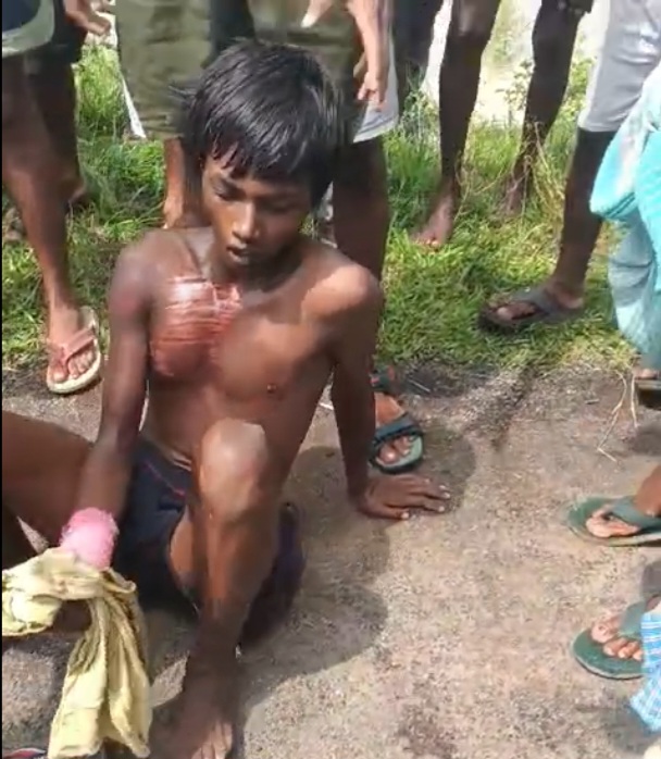 হাতি দেখতে গিয়ে প্রাণ গেল দশম শ্রেণির ছাত্রের, শালবনীতে শোকের ছায়া।