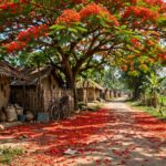 কবিতা — কৃষ্ণচূড়ার নিচে।।।।