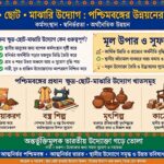ক্ষুদ্র ও মাঝারি শিল্পের গুরুত্ব: কর্মসংস্থান, স্বনির্ভরতা ও অর্থনৈতিক উন্নয়নের নতুন দিগন্ত।