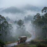 যে কুয়াশা পথের নাম বদলে দিয়েছিল।।